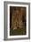 USA, Near Los Alamos, New Mexico, Bandelier National Monument-null-Framed Giclee Print