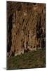 USA, Near Los Alamos, New Mexico, Bandelier National Monument-null-Mounted Giclee Print