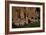 USA, Near Los Alamos, New Mexico, Bandelier National Monument-null-Framed Giclee Print