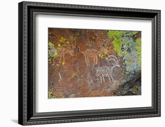 USA, Nevada. Caliente. Basin and Range National Monument, Mount Irish Petroglyphs-Bernard Friel-Framed Photographic Print