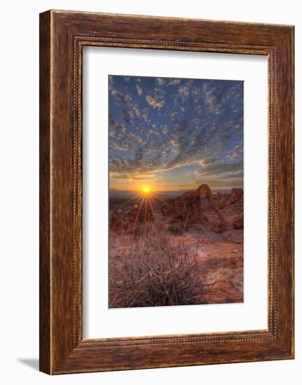 USA, Nevada, Clark County. Valley of Fire State Park. Elephant Rock-Brent Bergherm-Framed Photographic Print