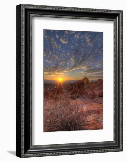 USA, Nevada, Clark County. Valley of Fire State Park. Elephant Rock-Brent Bergherm-Framed Photographic Print