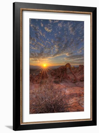 USA, Nevada, Clark County. Valley of Fire State Park. Elephant Rock-Brent Bergherm-Framed Photographic Print