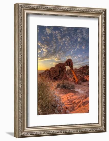 USA, Nevada, Clark County. Valley of Fire State Park. Elephant Rock-Brent Bergherm-Framed Photographic Print