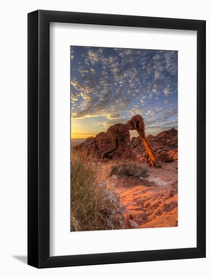 USA, Nevada, Clark County. Valley of Fire State Park. Elephant Rock-Brent Bergherm-Framed Photographic Print