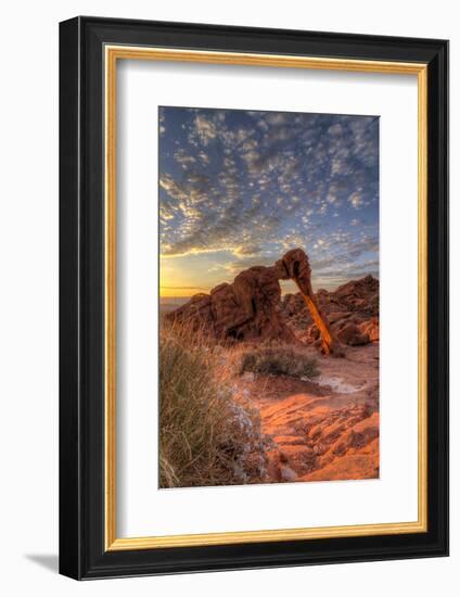 USA, Nevada, Clark County. Valley of Fire State Park. Elephant Rock-Brent Bergherm-Framed Photographic Print