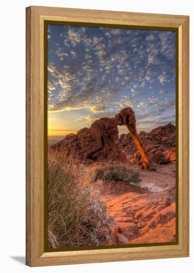 USA, Nevada, Clark County. Valley of Fire State Park. Elephant Rock-Brent Bergherm-Framed Premier Image Canvas
