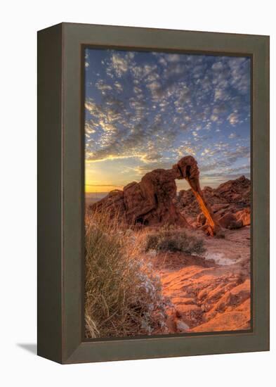 USA, Nevada, Clark County. Valley of Fire State Park. Elephant Rock-Brent Bergherm-Framed Premier Image Canvas