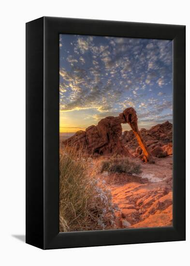 USA, Nevada, Clark County. Valley of Fire State Park. Elephant Rock-Brent Bergherm-Framed Premier Image Canvas