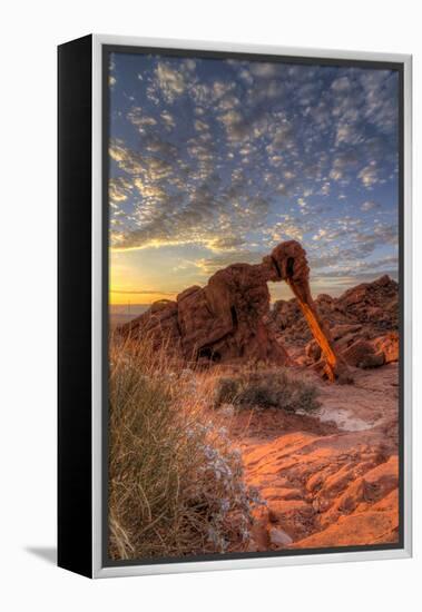 USA, Nevada, Clark County. Valley of Fire State Park. Elephant Rock-Brent Bergherm-Framed Premier Image Canvas