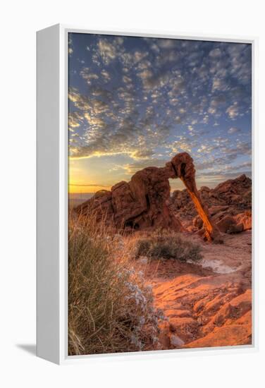 USA, Nevada, Clark County. Valley of Fire State Park. Elephant Rock-Brent Bergherm-Framed Premier Image Canvas