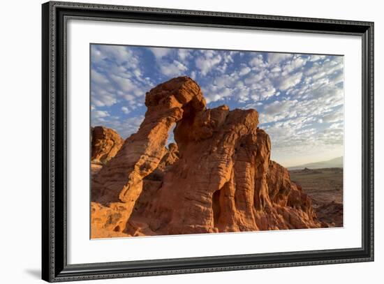 USA, Nevada, Clark County. Valley of Fire State Park. Elephant Rock-Brent Bergherm-Framed Photographic Print