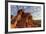 USA, Nevada, Clark County. Valley of Fire State Park. Elephant Rock-Brent Bergherm-Framed Photographic Print