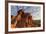 USA, Nevada, Clark County. Valley of Fire State Park. Elephant Rock-Brent Bergherm-Framed Photographic Print