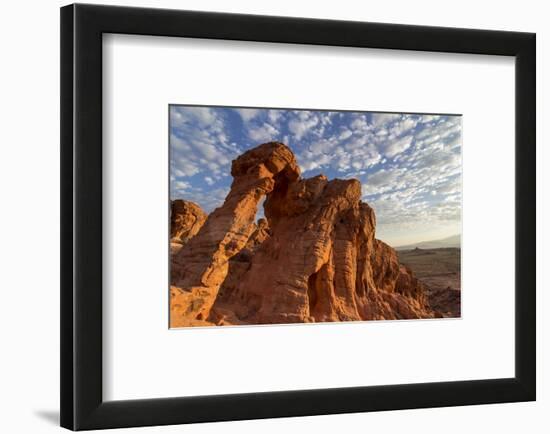 USA, Nevada, Clark County. Valley of Fire State Park. Elephant Rock-Brent Bergherm-Framed Photographic Print