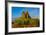 USA, Nevada, Gerlach, Fly Geyser, Black Rock Desert-Bernard Friel-Framed Photographic Print