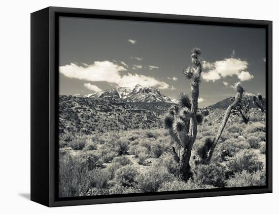 USA, Nevada, Las Vegas Area, Mt. Charleston, Mountain Landscape-Walter Bibikow-Framed Premier Image Canvas