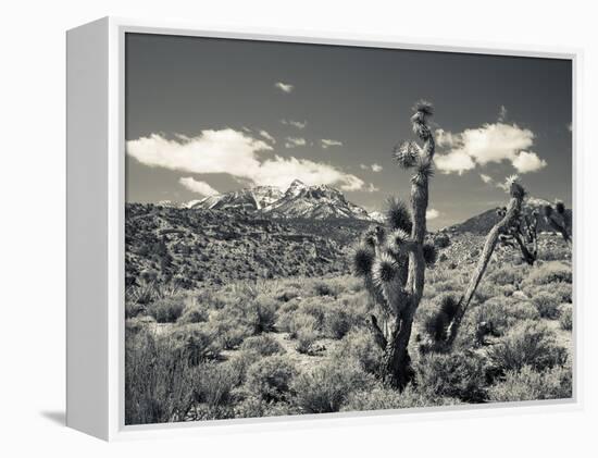 USA, Nevada, Las Vegas Area, Mt. Charleston, Mountain Landscape-Walter Bibikow-Framed Premier Image Canvas