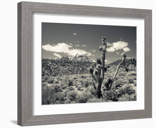 USA, Nevada, Las Vegas Area, Mt. Charleston, Mountain Landscape-Walter Bibikow-Framed Photographic Print