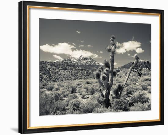 USA, Nevada, Las Vegas Area, Mt. Charleston, Mountain Landscape-Walter Bibikow-Framed Photographic Print