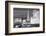 USA, Nevada, Las Vegas. City Buildings at Night-Dennis Flaherty-Framed Premium Photographic Print