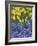 USA, Nevada, Las Vegas. Hyacinth and yellow tulips in garden.-Jaynes Gallery-Framed Photographic Print