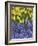 USA, Nevada, Las Vegas. Hyacinth and yellow tulips in garden.-Jaynes Gallery-Framed Photographic Print