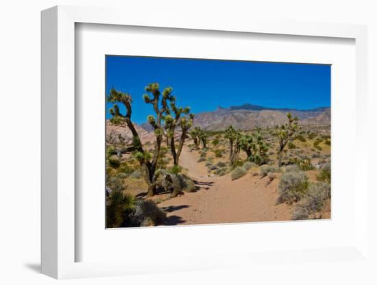 USA, Nevada, Mesquite. Gold Butte National Monument, Blackhawk Road vista-Bernard Friel-Framed Photographic Print