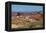USA, Nevada. Valley of Fire State Park, Mouse's Tank Road looking north-Bernard Friel-Framed Premier Image Canvas