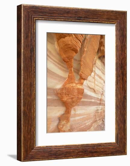 USA, Nevada. Valley of Fire State Park. Sculpted red sandstone-Kevin Oke-Framed Photographic Print