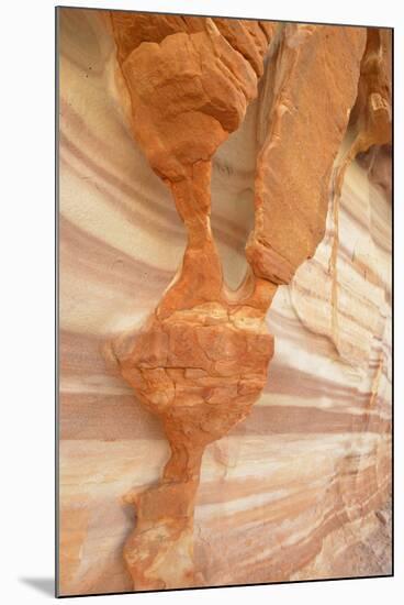USA, Nevada. Valley of Fire State Park. Sculpted red sandstone-Kevin Oke-Mounted Premium Photographic Print