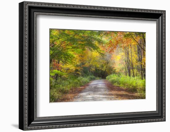USA, New England, Maine, Wild River gravel road lined with Fall colored Birch and Maple trees-Sylvia Gulin-Framed Photographic Print
