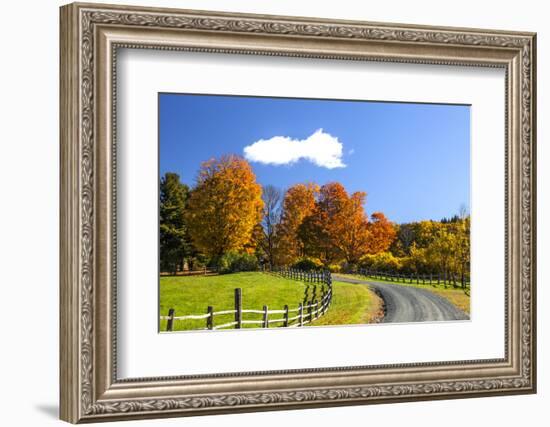 USA, New England, Vermont countryside with curved gravel road fence in Autumn-Sylvia Gulin-Framed Photographic Print