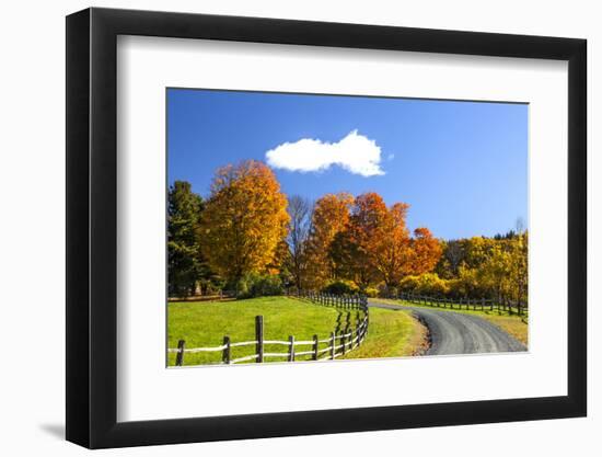 USA, New England, Vermont countryside with curved gravel road fence in Autumn-Sylvia Gulin-Framed Photographic Print