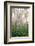 USA, New Hampshire. Birch Trees in Clearing Fog-Jaynes Gallery-Framed Photographic Print