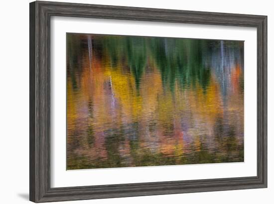 USA, New Hampshire, Fall colors reflected in the waters of the Saco River Crawford Notch State Park-Sylvia Gulin-Framed Photographic Print