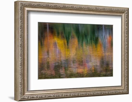 USA, New Hampshire, Fall colors reflected in the waters of the Saco River Crawford Notch State Park-Sylvia Gulin-Framed Photographic Print