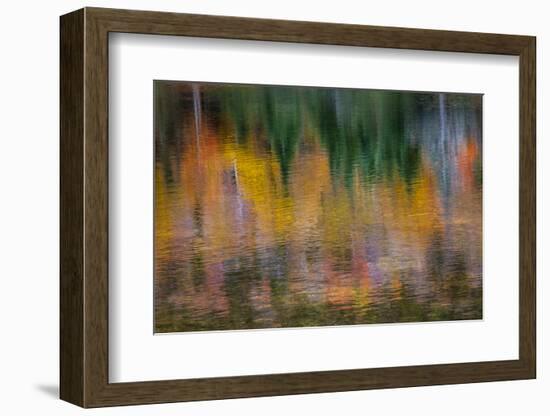 USA, New Hampshire, Fall colors reflected in the waters of the Saco River Crawford Notch State Park-Sylvia Gulin-Framed Photographic Print