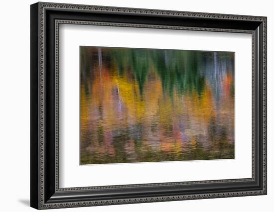 USA, New Hampshire, Fall colors reflected in the waters of the Saco River Crawford Notch State Park-Sylvia Gulin-Framed Photographic Print