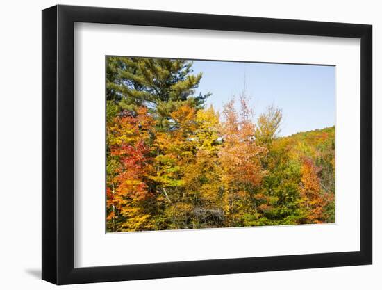 USA, New Hampshire, fall foliage Bretton Woods at base of Mount Washington-Alison Jones-Framed Photographic Print