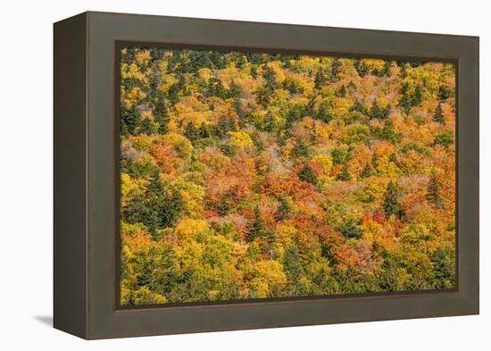 USA, New Hampshire, fall foliage Bretton Woods at base of Mount Washington-Alison Jones-Framed Premier Image Canvas