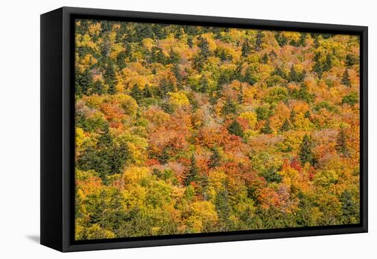 USA, New Hampshire, fall foliage Bretton Woods at base of Mount Washington-Alison Jones-Framed Premier Image Canvas