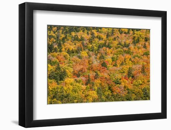USA, New Hampshire, fall foliage Bretton Woods at base of Mount Washington-Alison Jones-Framed Photographic Print
