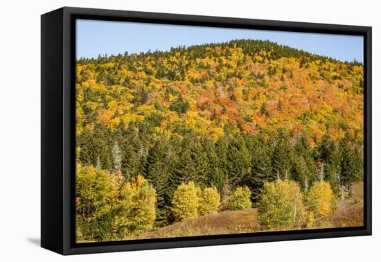 USA, New Hampshire, fall foliage Bretton Woods at base of Mount Washington-Alison Jones-Framed Premier Image Canvas