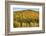 USA, New Hampshire, fall foliage Bretton Woods at base of Mount Washington-Alison Jones-Framed Photographic Print