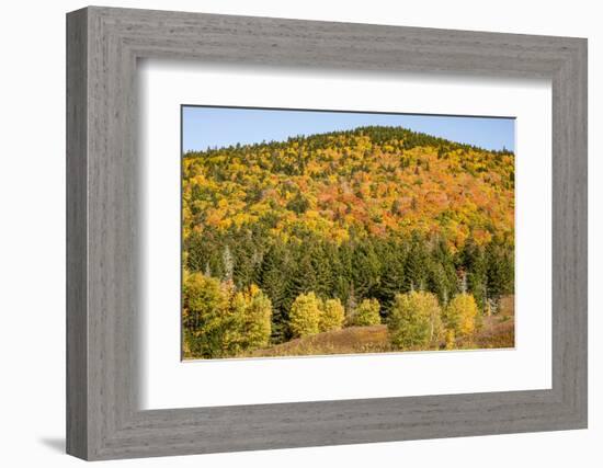 USA, New Hampshire, fall foliage Bretton Woods at base of Mount Washington-Alison Jones-Framed Photographic Print