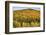 USA, New Hampshire, fall foliage Bretton Woods at base of Mount Washington-Alison Jones-Framed Photographic Print