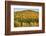 USA, New Hampshire, fall foliage Bretton Woods at base of Mount Washington-Alison Jones-Framed Photographic Print