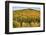 USA, New Hampshire, fall foliage Bretton Woods at base of Mount Washington-Alison Jones-Framed Photographic Print