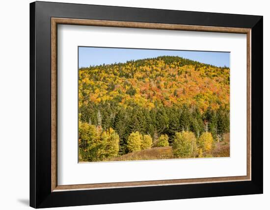 USA, New Hampshire, fall foliage Bretton Woods at base of Mount Washington-Alison Jones-Framed Photographic Print